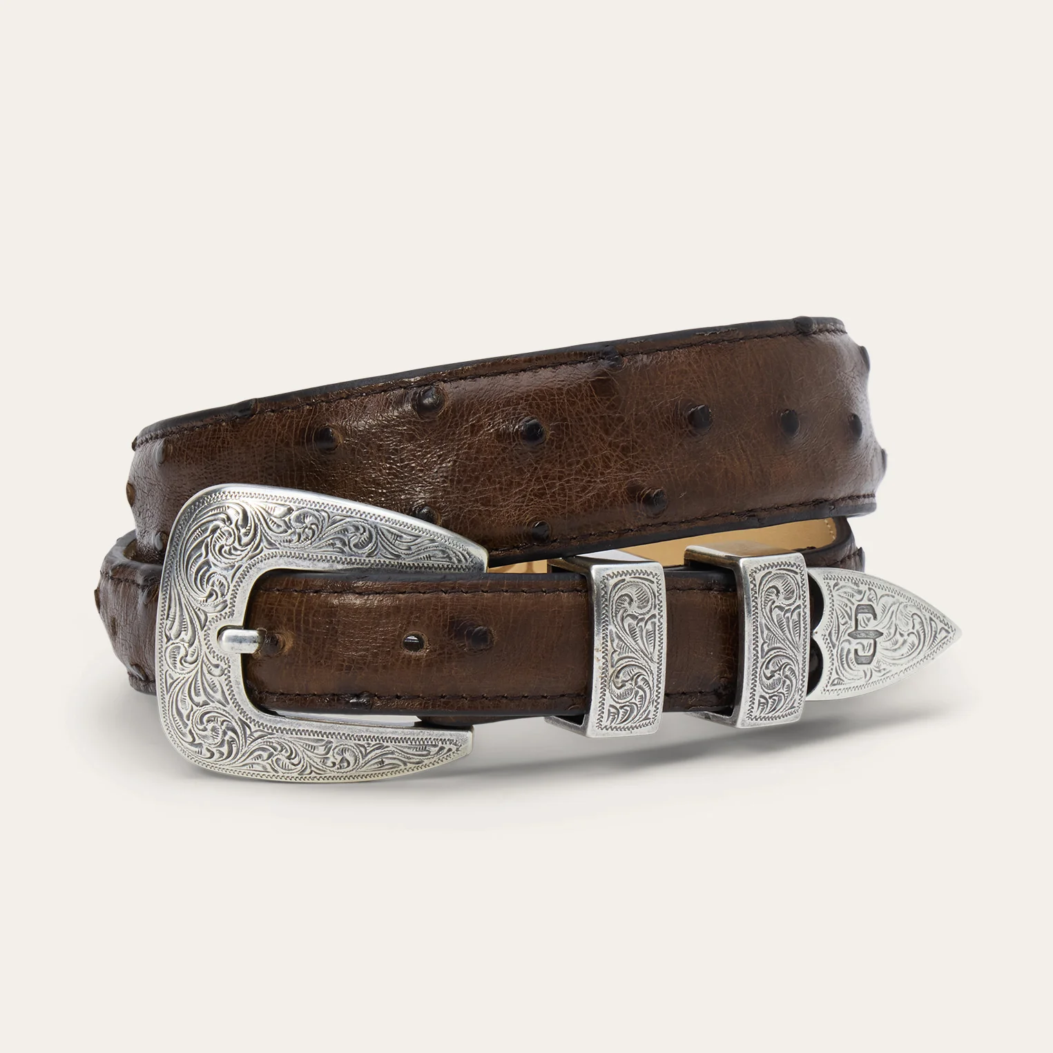 2475-ostrich-tapered-tab-belt-1.webp Ostrich Tapered Tab Belt