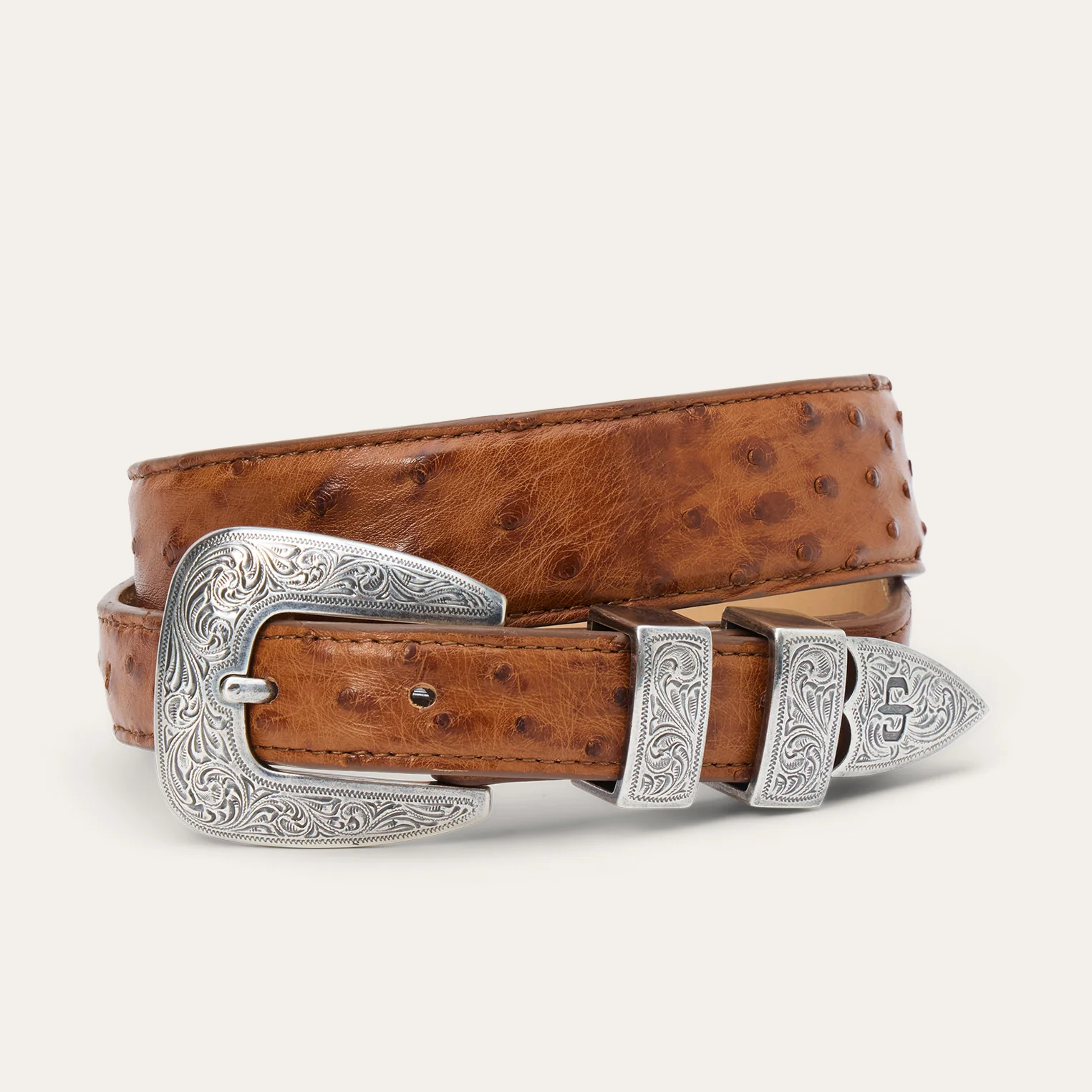 2529-ostrich-tapered-tab-belt-1.webp Ostrich Tapered Tab Belt
