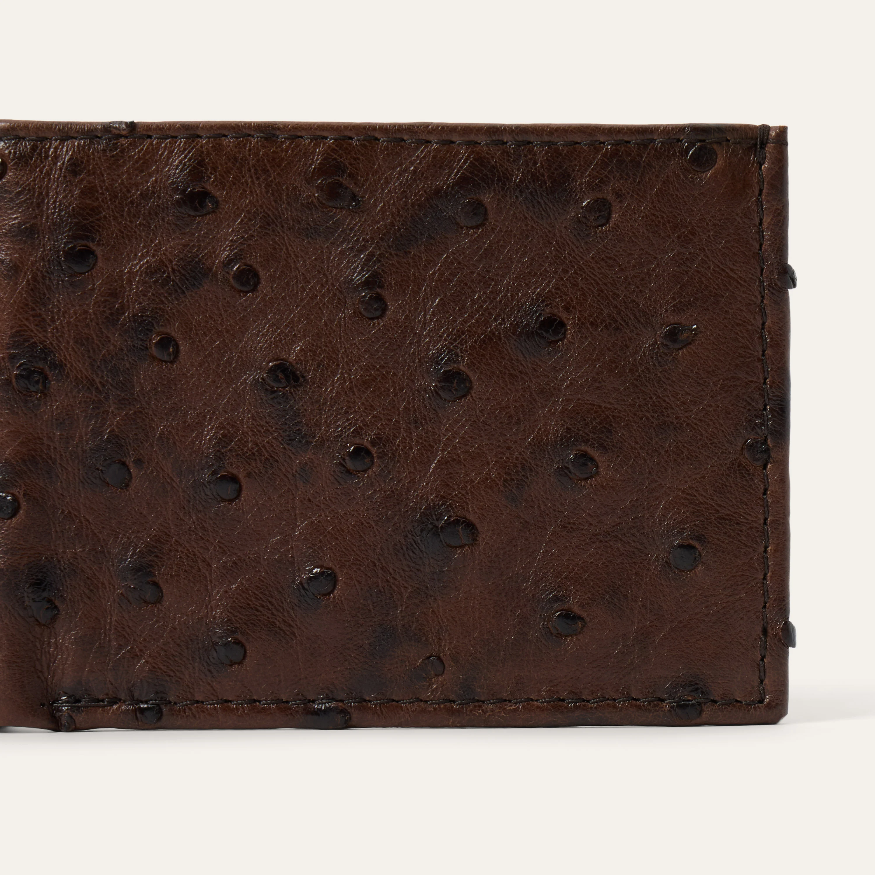 2560-ostrich-bi-fold-wallet-4.webp Ostrich Bi-Fold Wallet