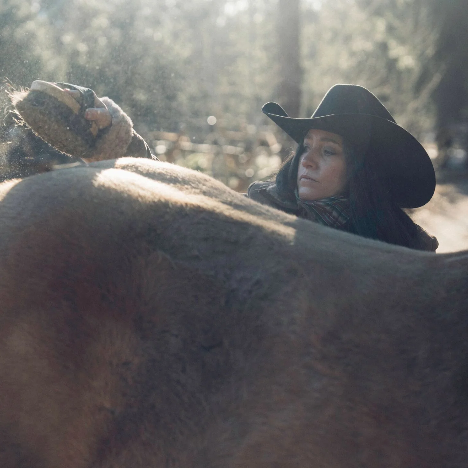 Corral 4X Cowboy Hat