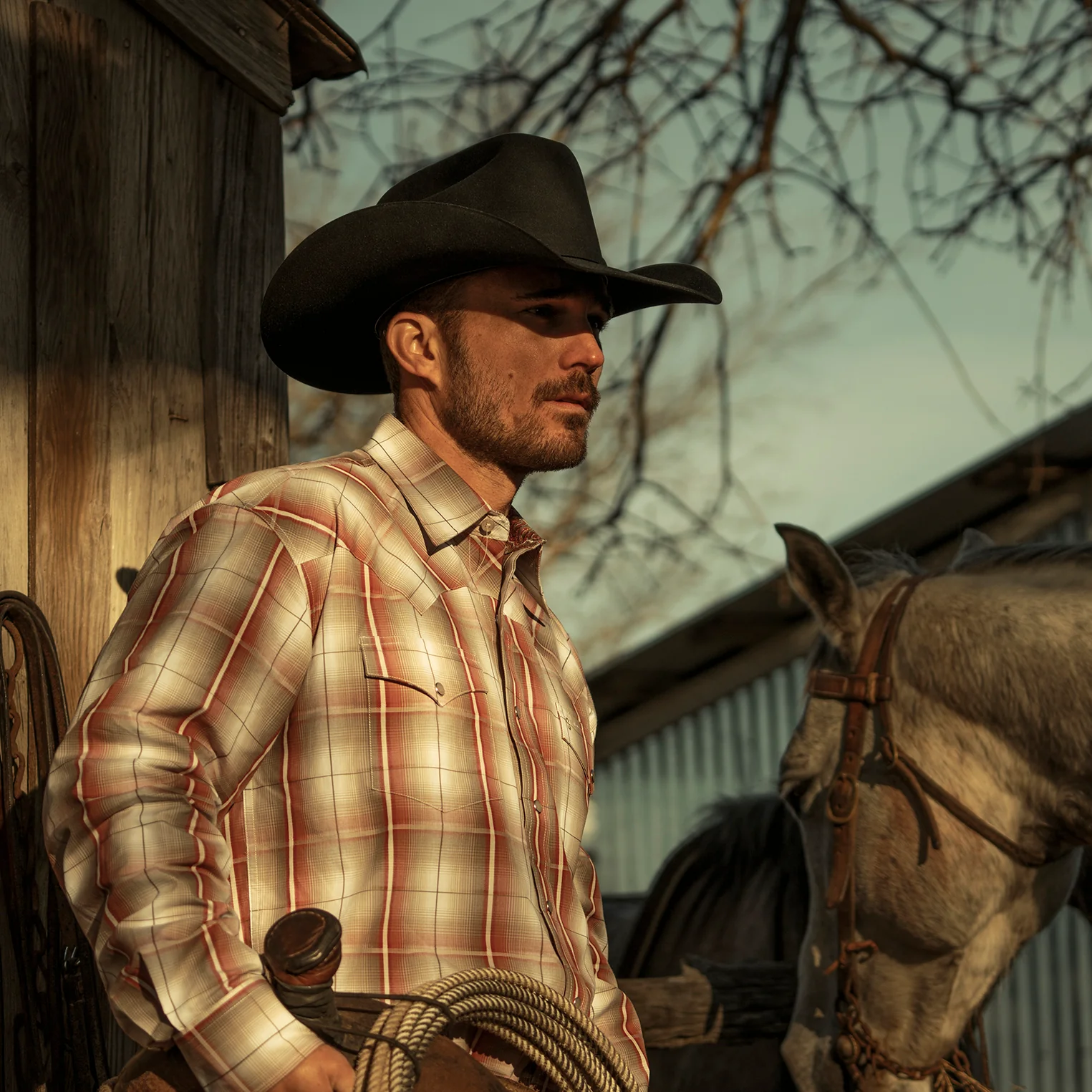 916-el-amo-500x-premier-cowboy-hat-2.webp El Amo 500X Premier Cowboy Hat