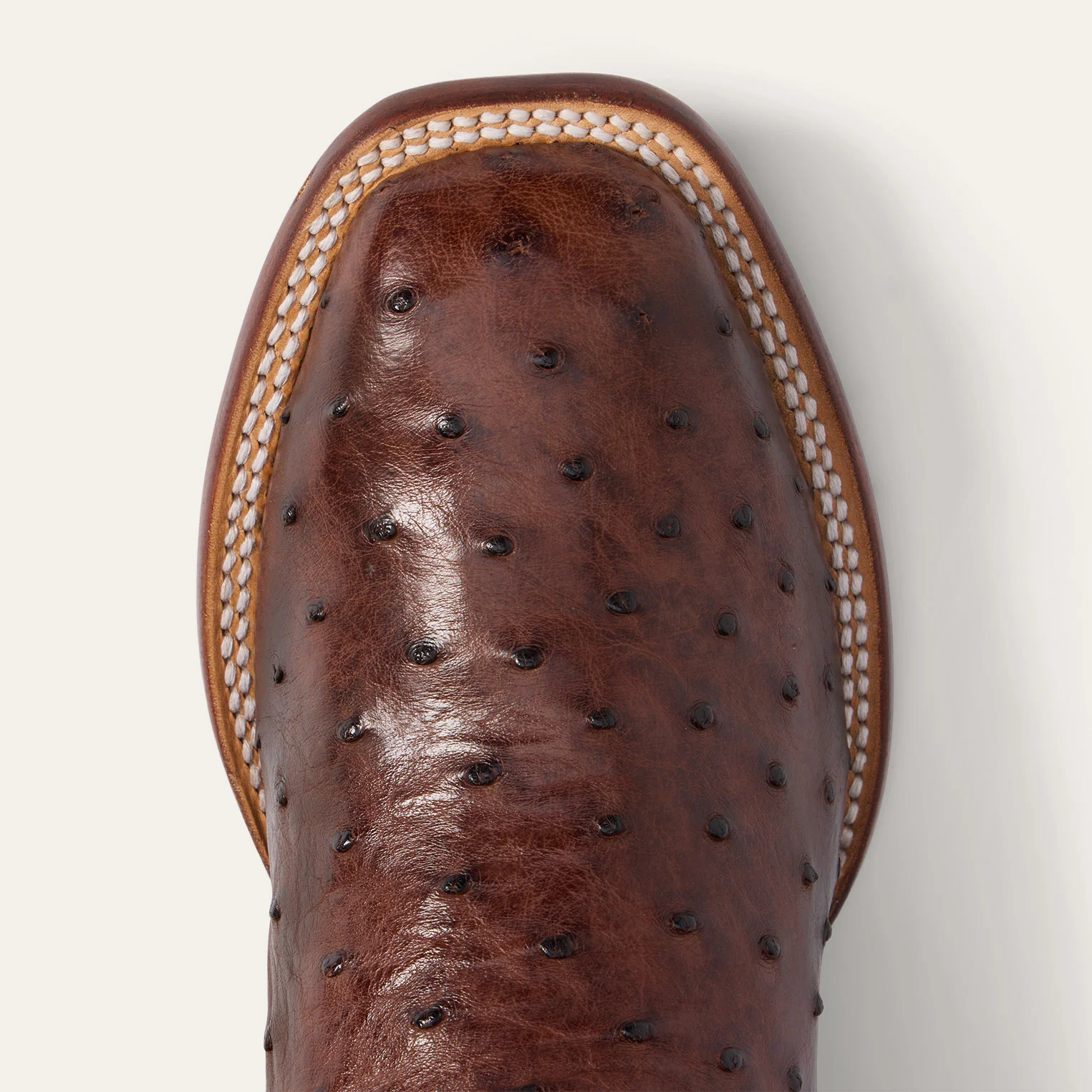 Ozzy Ostrich Boot